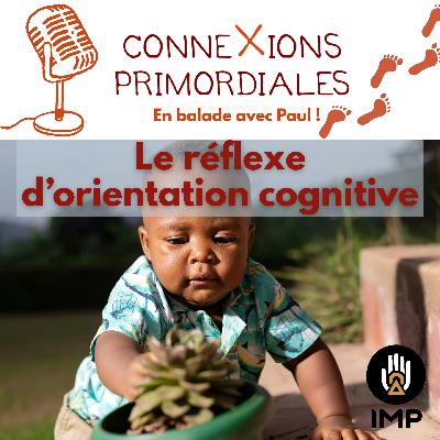 Le réflexe d’orientation cognitive de Pavlov (curiosité)