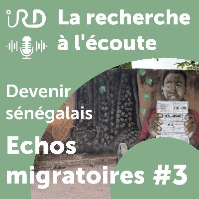 Echos migratoires - Devenir sénégalais : l’acquisition de la nationalité Echos migratoires - Devenir sénégalais : l’acquisition de la nationalité