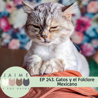 Ep 243 ideas sobre gatos en el folklore mexicano
