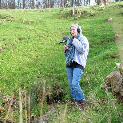 Walk 1 - The Source to Chipping Sodbury