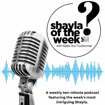 Shayla of the Week #6: Learning to Give – Hilchos Tzedakah (Part 1)