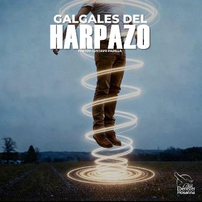 Los Galgales del Harpazo Los Galgales del Harpazo