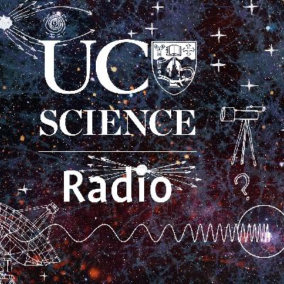 Shedding light on dark matter Shedding light on dark matter