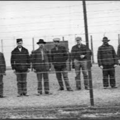 19 - Behind Barbed Wire: Canadian POWs and Internment Camps of WWI 19 - Behind Barbed Wire: Canadian POWs and Internment Camps of WWI