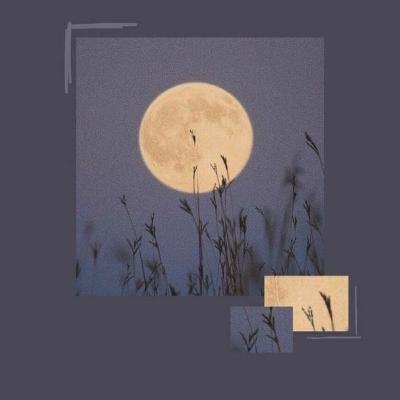 Song "Reckless" and "Imagination"