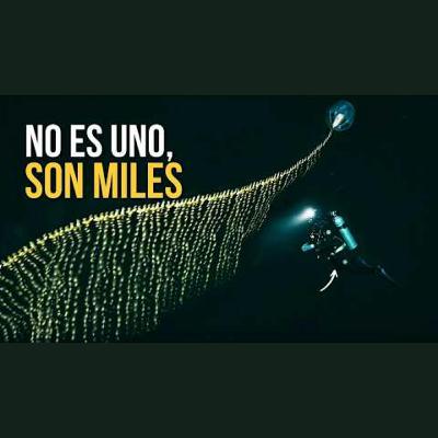 Este animal no existe… y aun así puede matarte