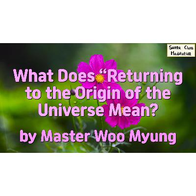 🌌 What Does “Returning to the Origin of the Universe” Mean? : truth, nonexistence, original body, dō, awakening, cosmic unity, enlightenment | Master Woo Myung | Santa Clara Meditation