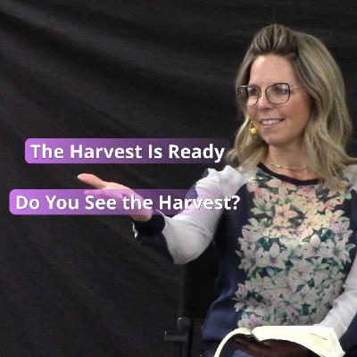 The Harvest is Ready
