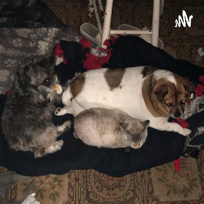 What is going on in this world