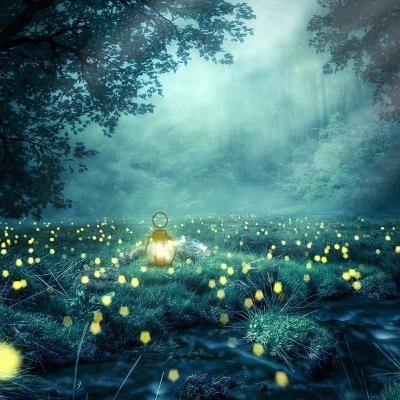 02 Méditation du soir pour s'endormir *