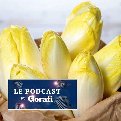 Les extraterrestres décident d’anéantir l’espèce humaine après avoir goûté des endives