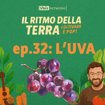 Ep 32 - L'uva