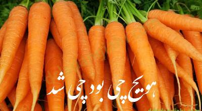 هویج چی بود چی شد