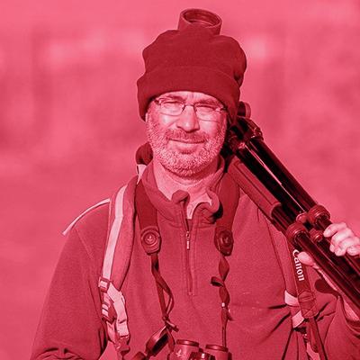 סיפור האהבה לציפורים של פיקי איש שלום סיפור האהבה לציפורים של פיקי איש שלום