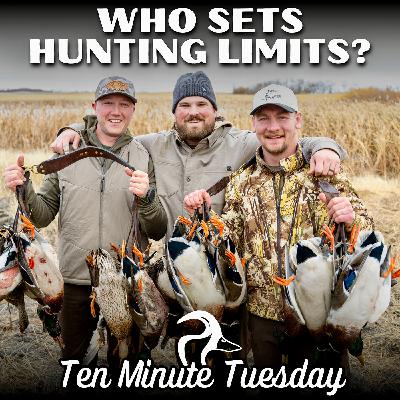 Who Sets Hunting Limits?