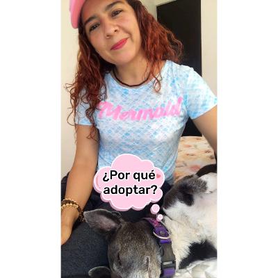 ¡7 razones para adoptar!