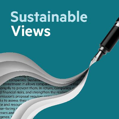 Sustainable Views: Why businesses should be at COP