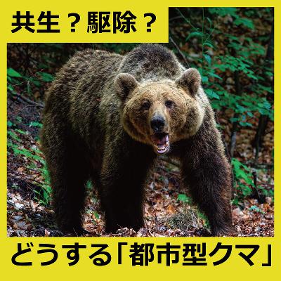 共生？駆除？急増する「都市型クマ」と人はどう向き合うべきか