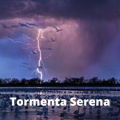 Tormenta Serena (8 horas) - Sonidos de la naturaleza para relajarse y dormir