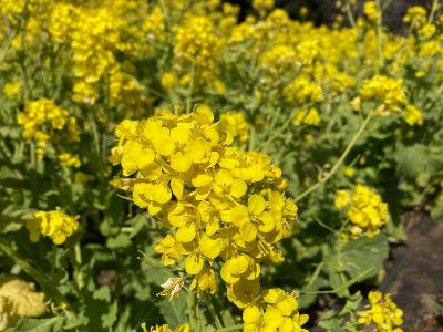 Foláirimh Aimsire - Ferdia McCrann Foláirimh Aimsire - Ferdia McCrann