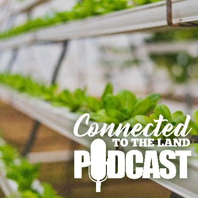 Hydroponics: Food Security In A Box