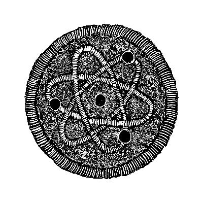 The Boy Scout The Boy Scout