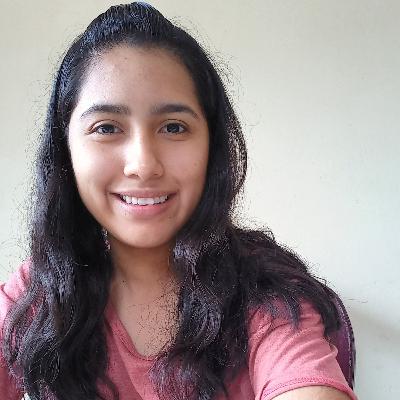 Teoría de los instintos