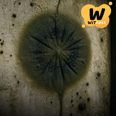 WiTcast 160 – ทักทายชีวิต / รารูตูดกินรังสี / สีสันไดโนเสาร์คอยาว / อดีตและอนาคตของผ้าอนามัย