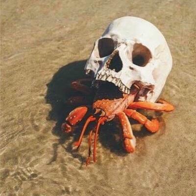 #038 - The Argument Tragedy [Cosmic Dynamics]