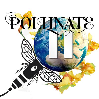 #05: Take a Day of Pause with Don Christensen