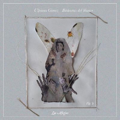 Fig 9: "Ulpiana Gómez - Bitácoras del blanco"