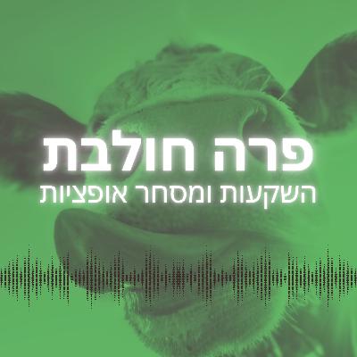 מ-10K ל-100K: השיטה שבאמת שינתה לי את התיק