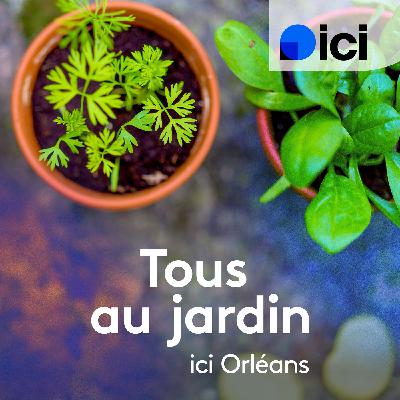 Tous au jardin, ici Orléans