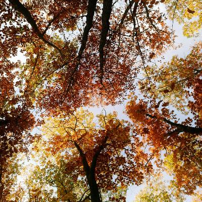 第6回『ハーフ・オブ・イット 面白いのはこれから』