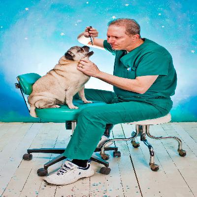 Whatever Happened to Beth, Beth Roose Childrens Author Whatever Happened to Beth, Beth Roose Childrens Author