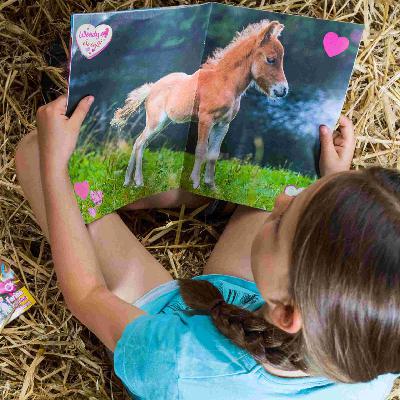 Wendy Pferd Tod Mexiko - Neo-Western als Klangcomic Wendy Pferd Tod Mexiko - Neo-Western als Klangcomic