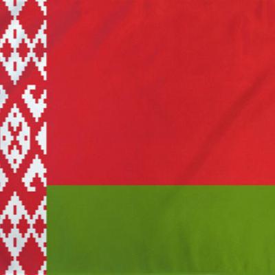 Entrevistando imigrantes - Belarus // T.P Mundo #71