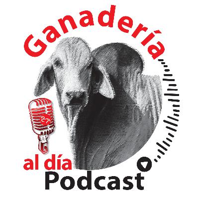 Episodio 62 | André Moura Andrade, médico veterinario Universidad de Alfenas MG, (Brasil)