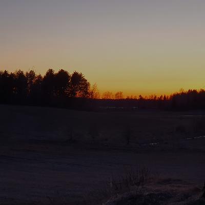 Spring Night in the Field