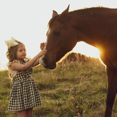 第2回『セクレタリアト 奇跡のサラブレッド』