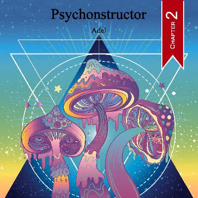 Psychonstructor- Part 2