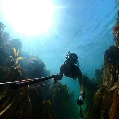 33 - Jack Wreck Adventures - Ethan Hughes