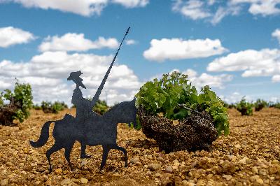 Qué ver en los pueblos del vino manchego: de Tomelloso a El Toboso