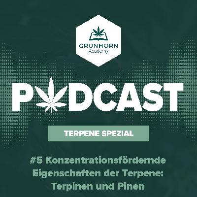 #5 Terpene in Cannabis: Konzentrationsfördernde Eigenschaften der Terpene