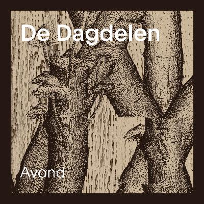 De Dagdelen 4: Avond