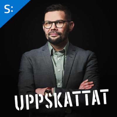 Magnus Demervall om villkoren för Sveriges företagare