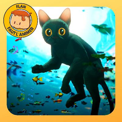 Flow, le chat qui avait peur de l'eau - FLAN n°131