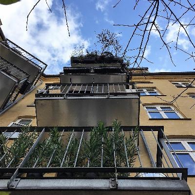 5: Storbyhaver i højden