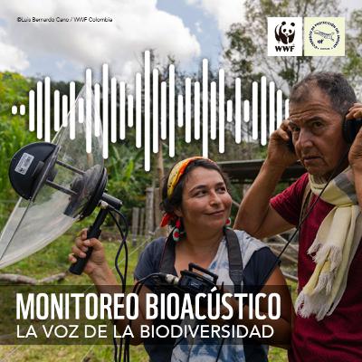 SONIDOS DEL GUAVIARE II #MonitoreoBioacústico #LaVozDeLaNaturaleza