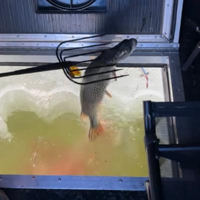 Episode #22 - Dark House Ice Spearing